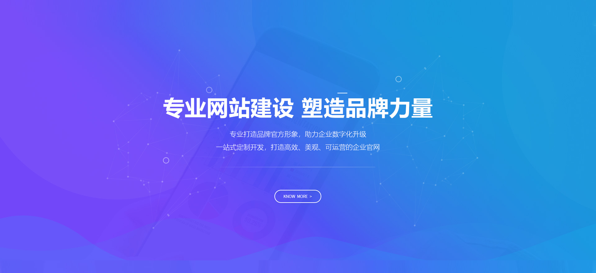 阳江建站-专业网站建设 塑造品牌力量