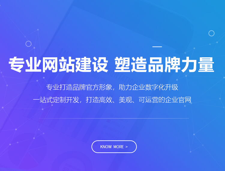 阳江建站-专业网站建设 塑造品牌力量